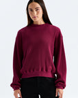 TNF W's Chabot 2.0 Long Sleeve Mock Neck