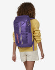 Patagonia Black Hole Back Pack 25L
