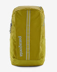 Patagonia Black Hole Pack 25L