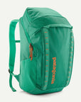 Patagonia Black Hole Pack 32L
