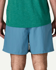 Patagonia M's Baggies Shorts 5"