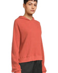 TNF W's Chabot Hoodie