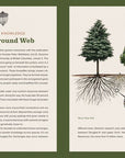 Knowing the Trees: Discover the Forest from Seed to Snag