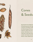 Knowing the Trees: Discover the Forest from Seed to Snag
