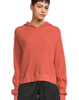 TNF W's Chabot Hoodie