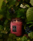 Voluspa Large Glass Jar Candle 18 oz Foraged Wildberry