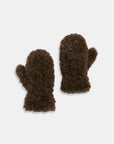 Teddy Shearling Curly Mittens