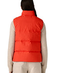 Patagonia W's Downdrift Vest