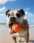 Waboba Tailwind Dog Ball