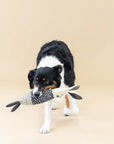 Earth Friendly Canvas Dog Toy