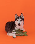 Fishy Durable Dog Toy