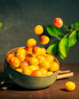 Traditions de France Handmade Hard Candy - Mirabelle