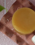 Dip Conditioner Bar & After Swim Detangler