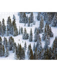 Gray Malin’s Snow, Two Sided Puzzle