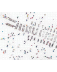 Gray Malin’s Snow, Two Sided Puzzle