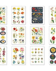 Cavallini Paper Tin of Stickers