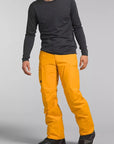 The North Face Freedom Pant - Men's