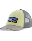 Patagonia LoPro Logo Trucker Hat
