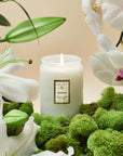Voluspa Mokara 5.5oz Small Jar Candle