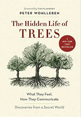 The Hidden Life of Trees : What They Feel, How They Communicate