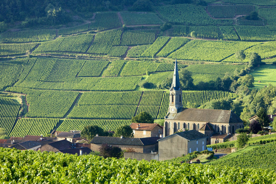 Burgundy: The Good Life at a Slower Pace