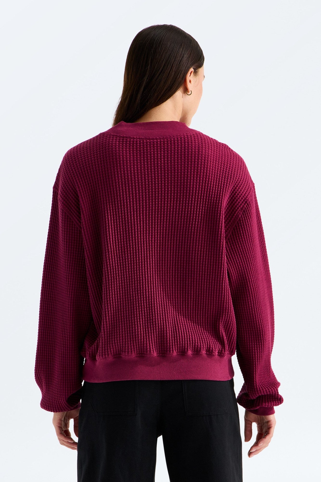 TNF W's Chabot 2.0 Long Sleeve Mock Neck