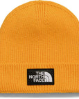 TNF Log Box Cuffed Beanie
