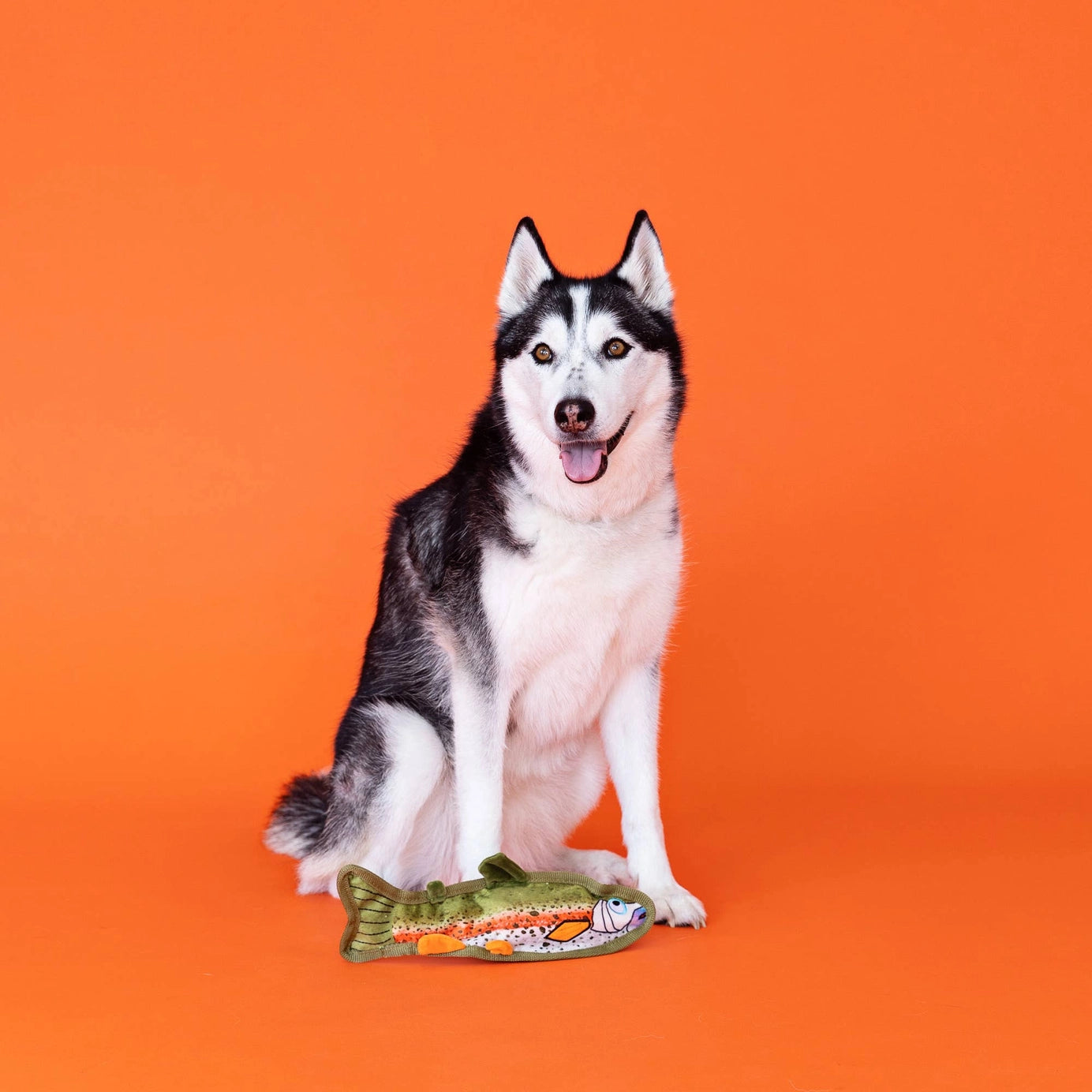 Fishy Durable Dog Toy