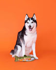 Fishy Durable Dog Toy