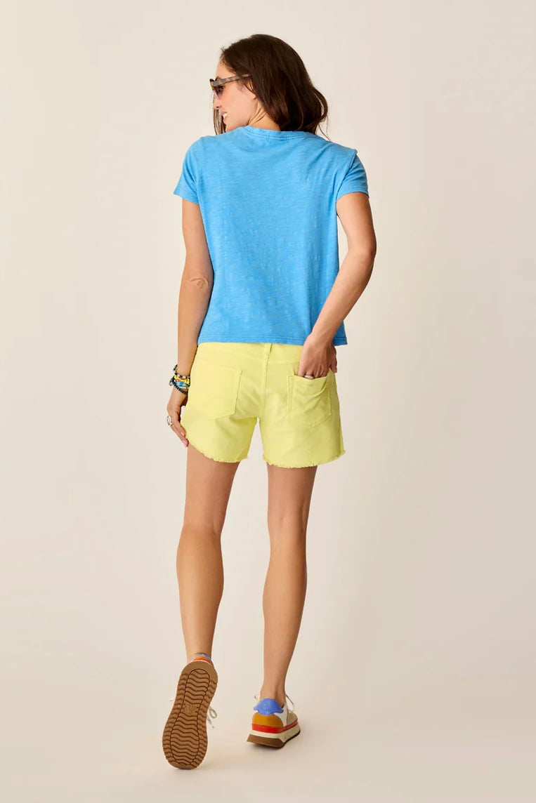 Carve Oahu 4" Corduroy Shorts