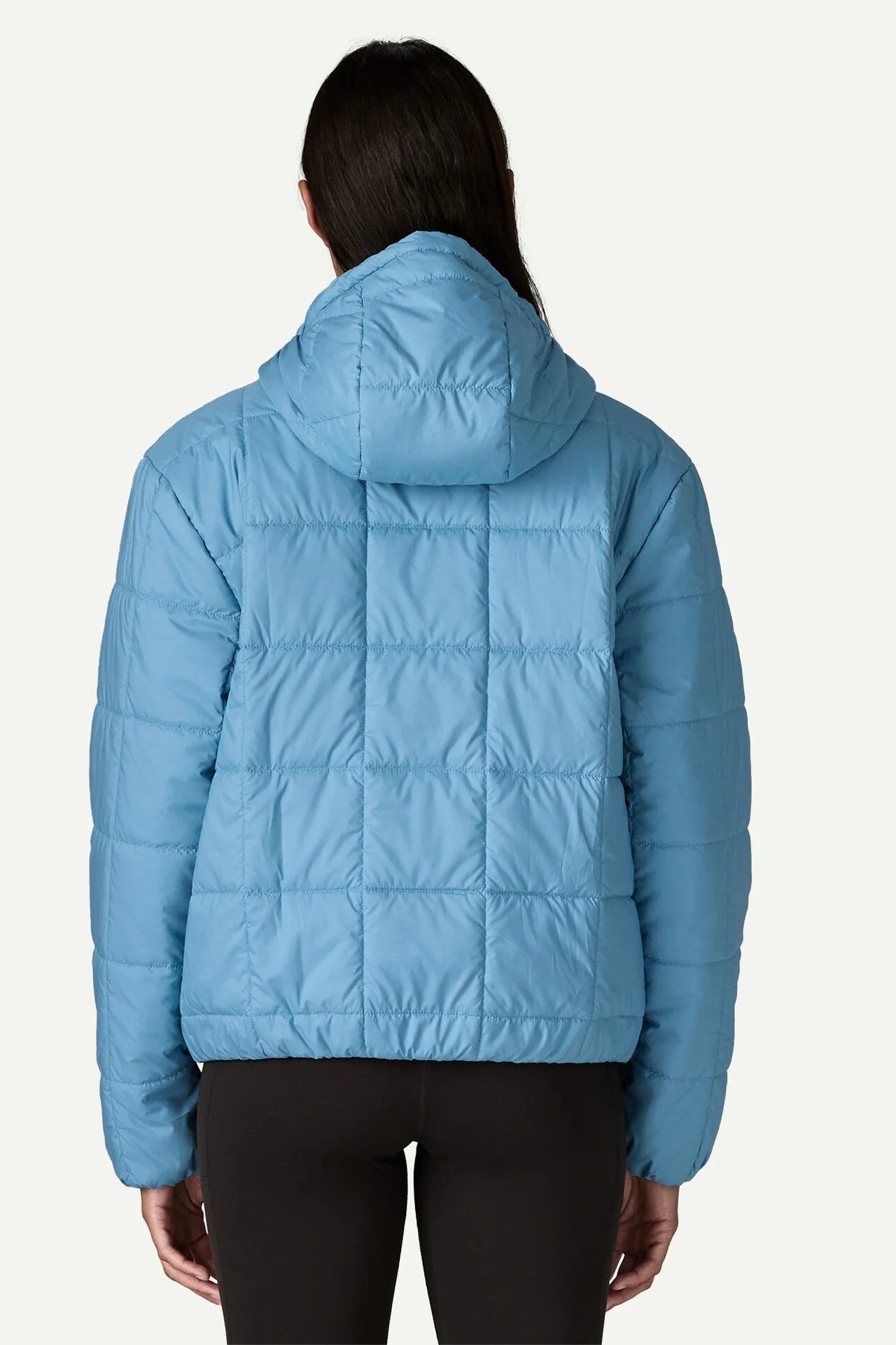 Patagonia W's Light Gust Hooded Pullover