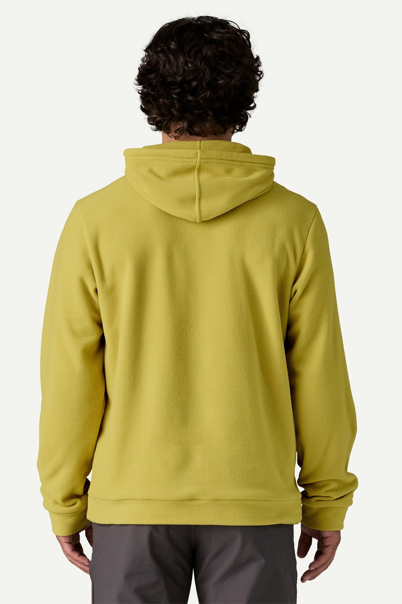 Patagonia M's Micro D Hoody