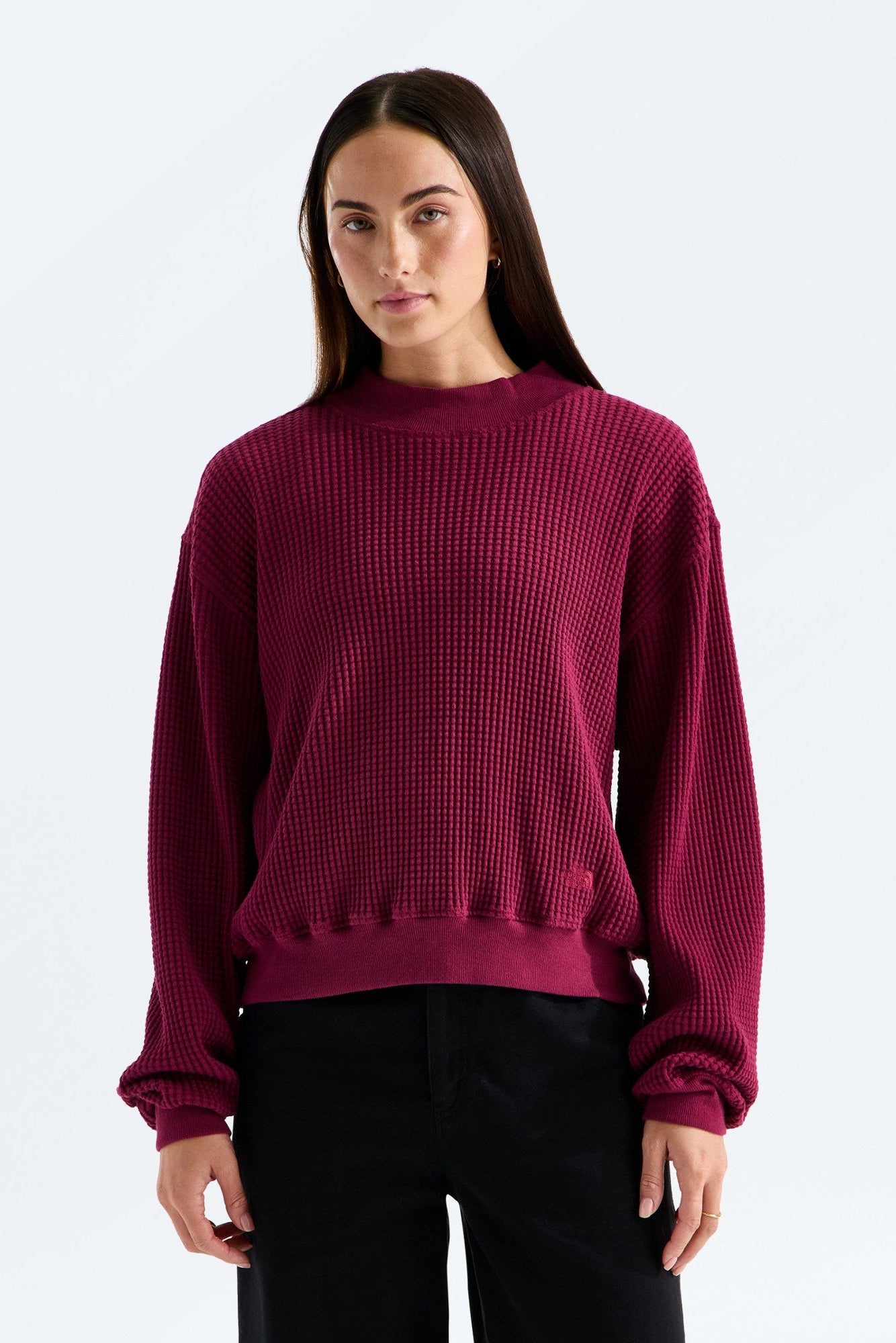TNF W's Chabot 2.0 Long Sleeve Mock Neck