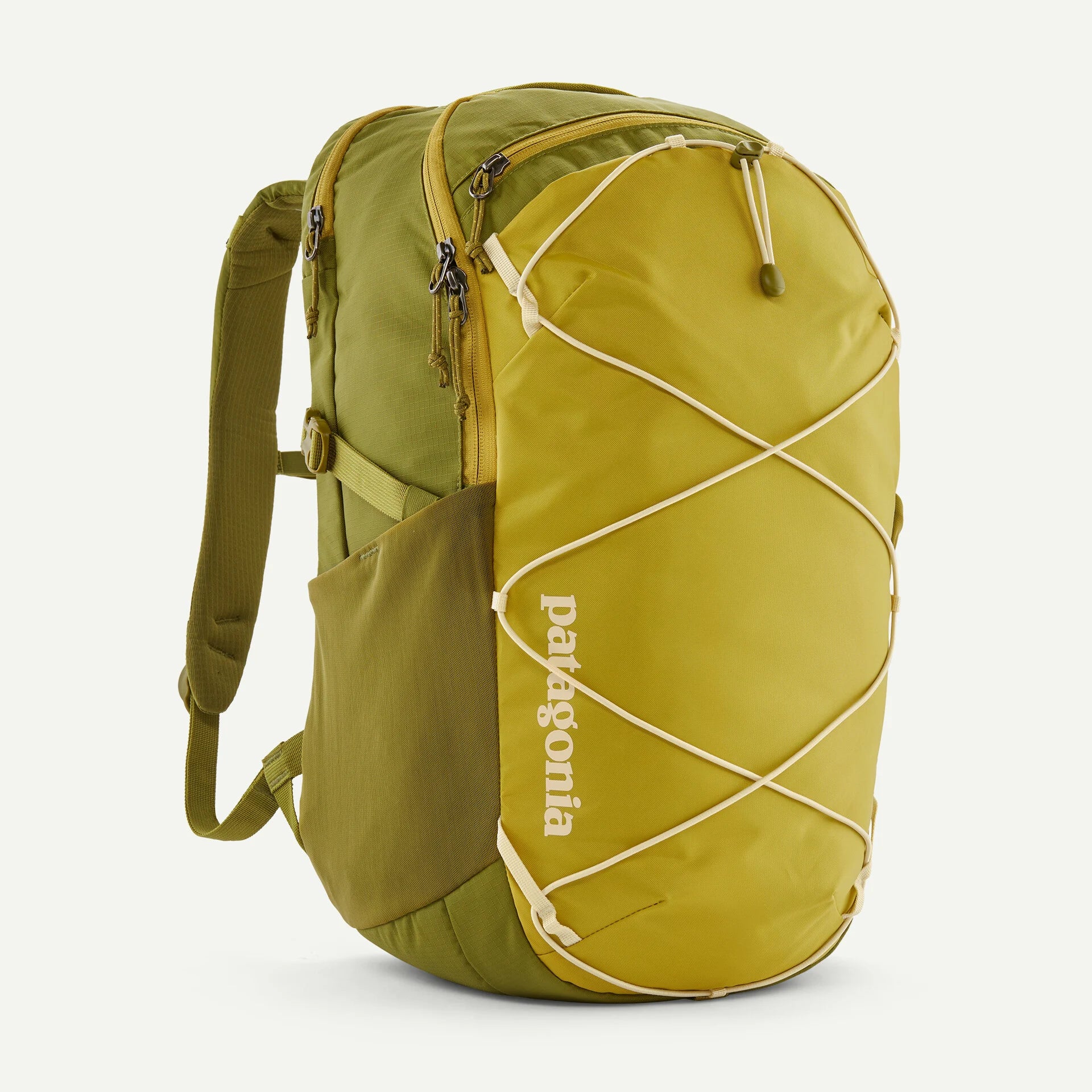 Patagonia Refugio Day Pack 30L
