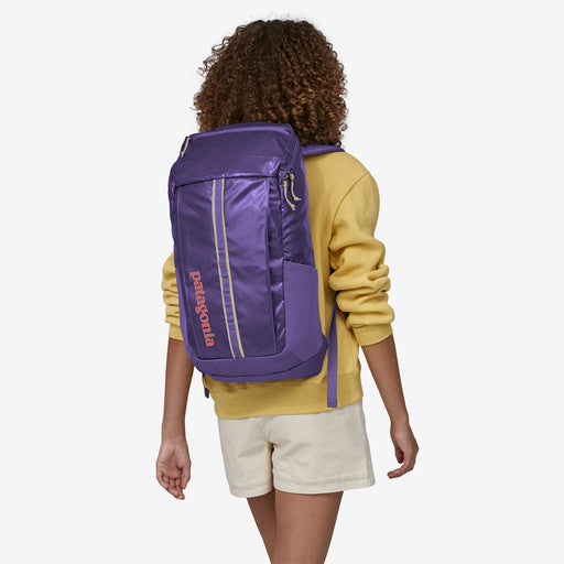 Patagonia Black Hole Pack 25L