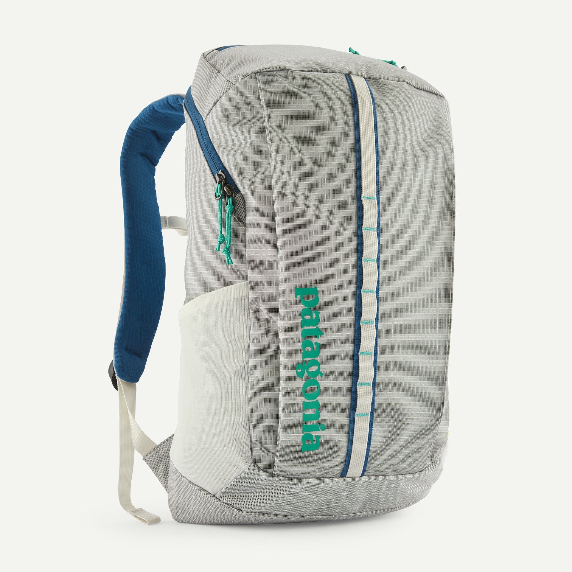 Patagonia Black Hole Pack 25L
