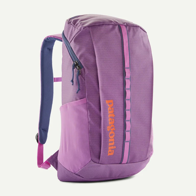 Patagonia Black Hole Back Pack 25L