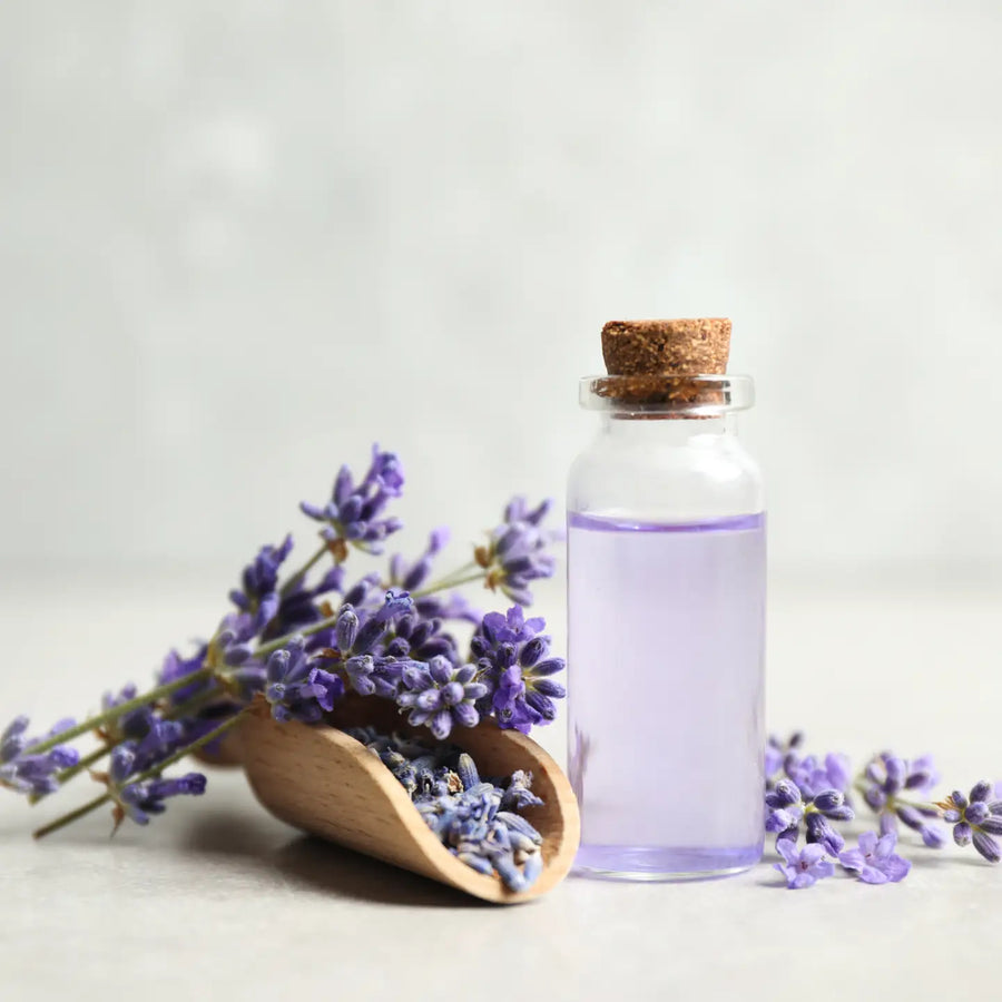 Traditions de France Handmade Hard Candy - Lavender