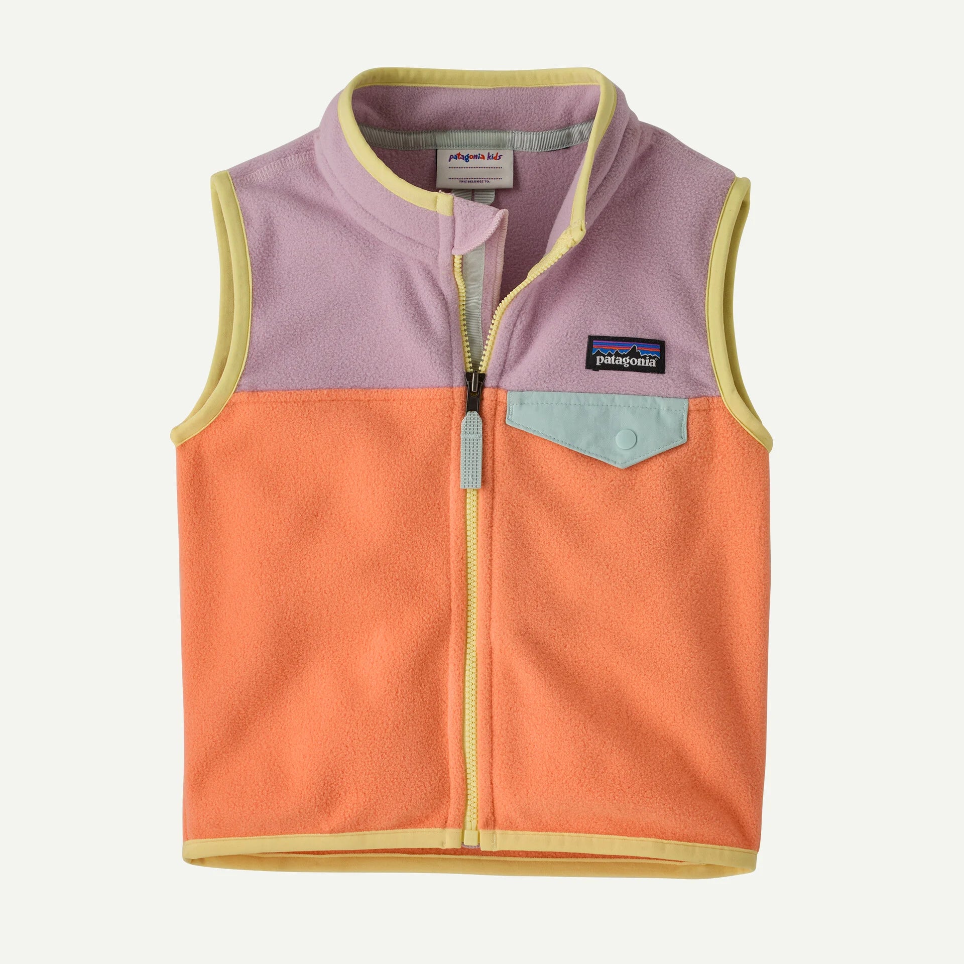 Patagonia Baby Micro D Snap-T Vest