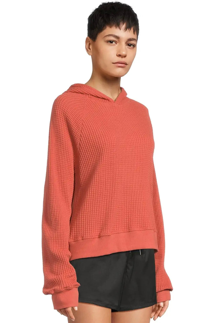 TNF W's Chabot Hoodie