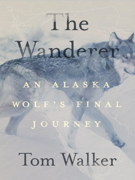 The Wanderer-An Alaska Wolf's Final Journaey