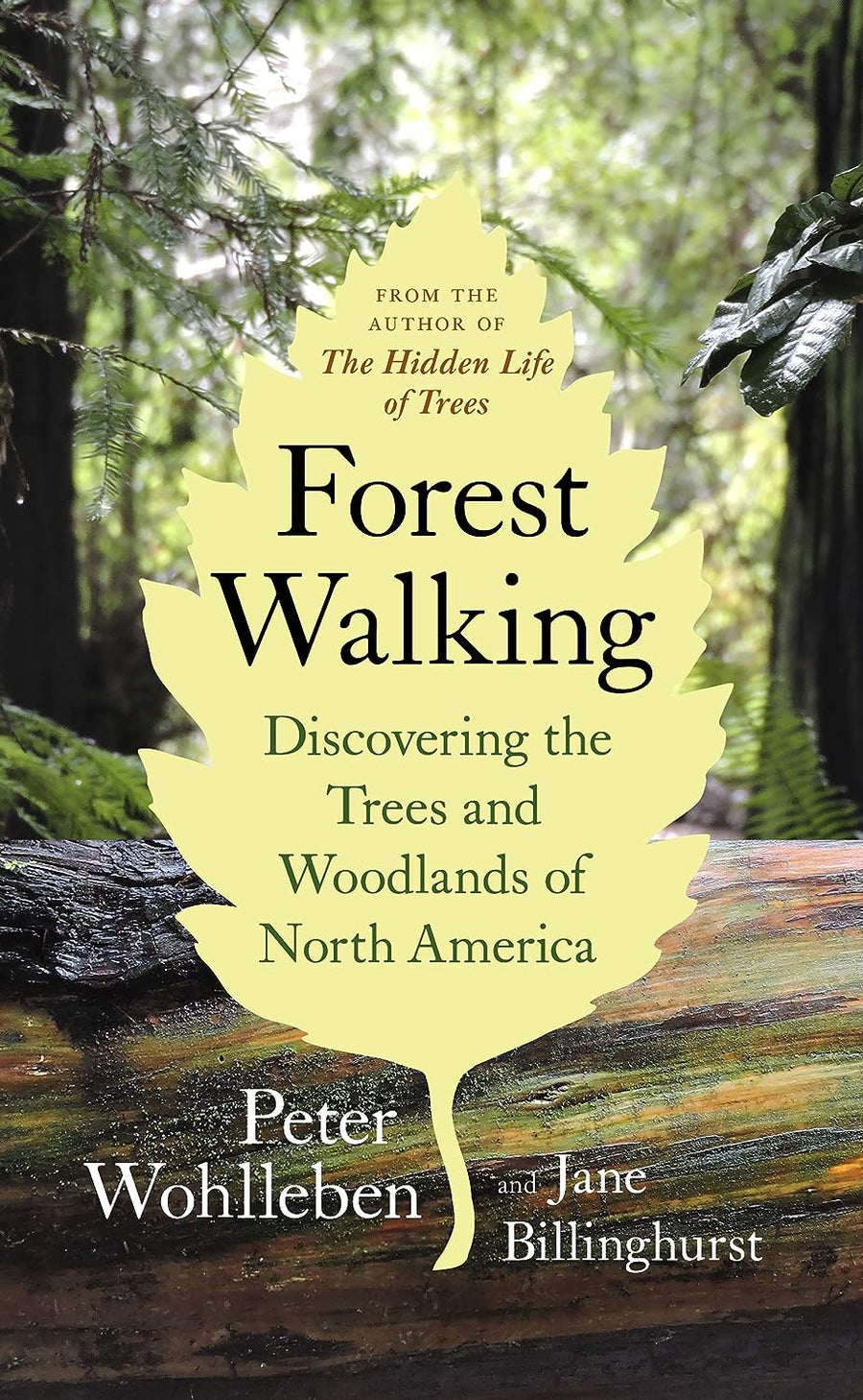 Forest Walking - Discovering the Trees and Woodlands of North America