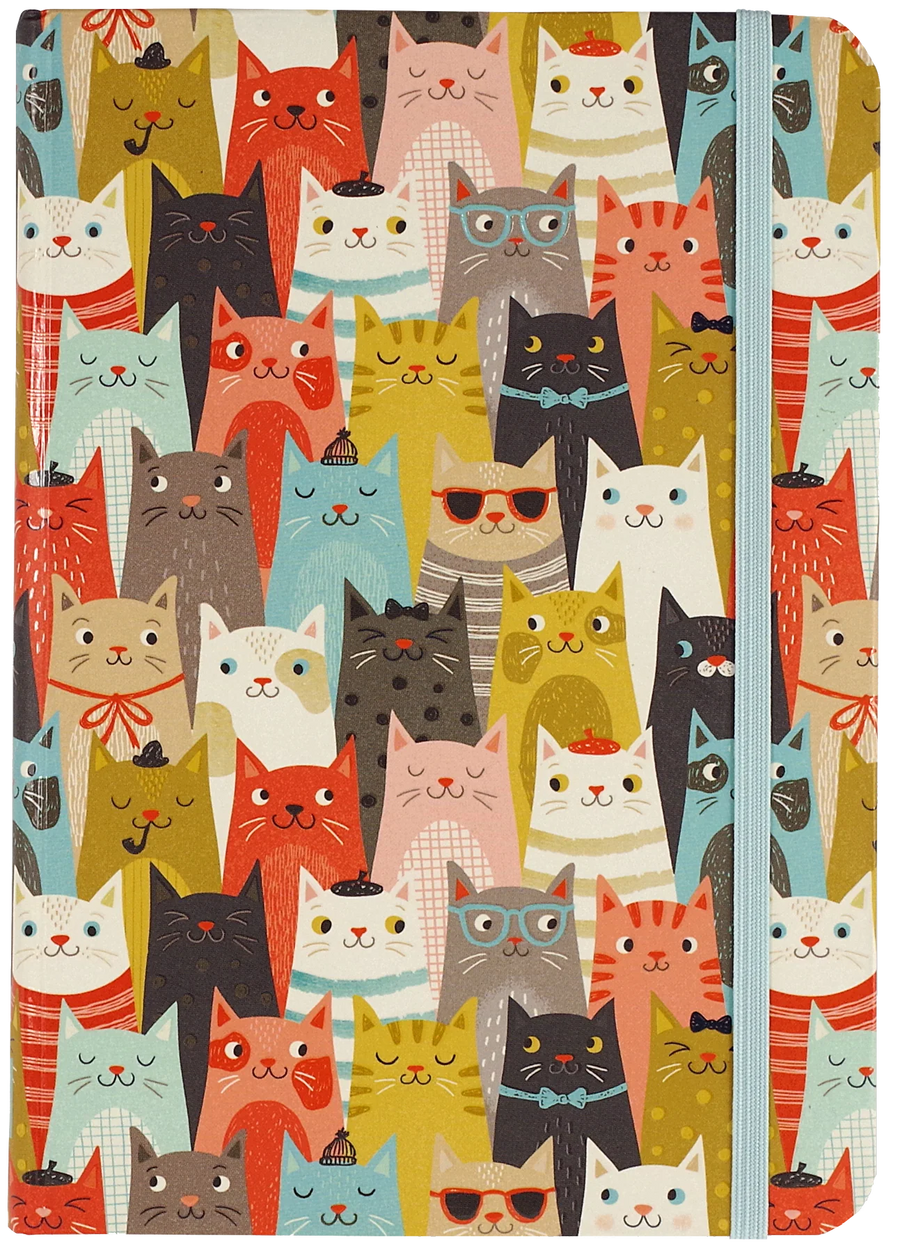 Cats Small Journal
