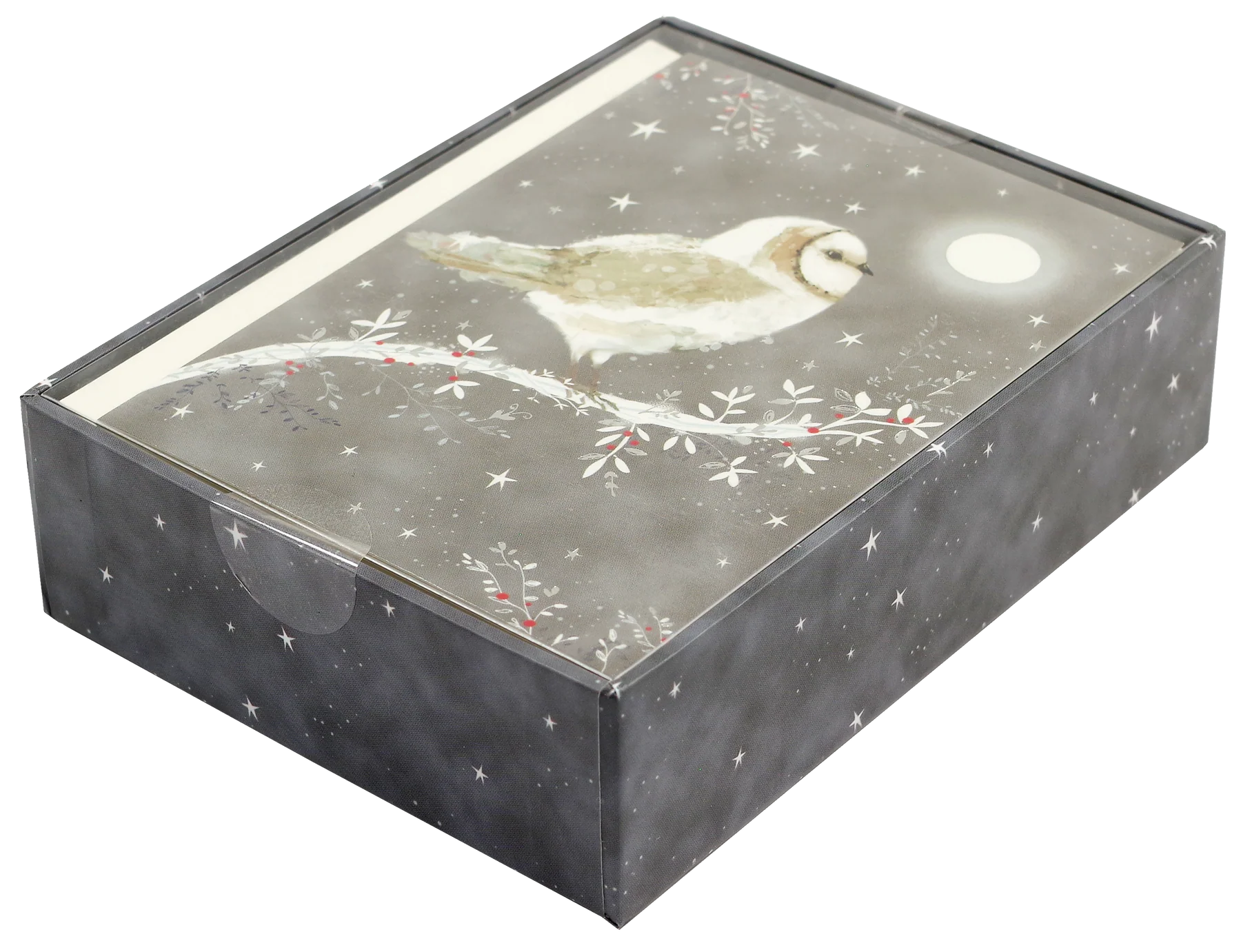Starry Night Owl Small Boxed Holiday Cards