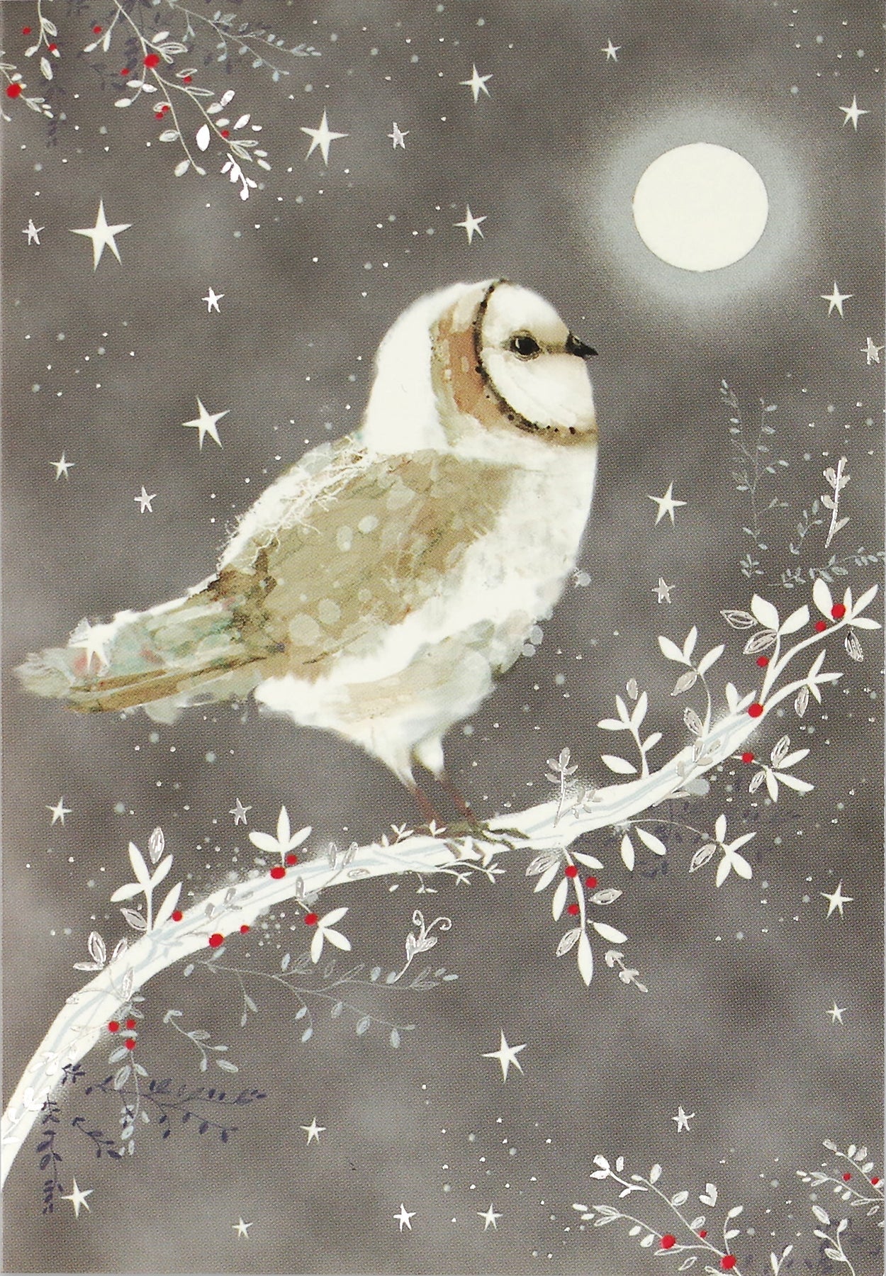 Starry Night Owl Small Boxed Holiday Cards