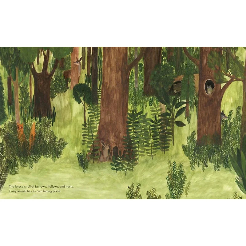 A Walk in the Forest-Maria Dek