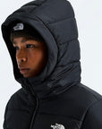 TNF W's Aconcagua Parka
