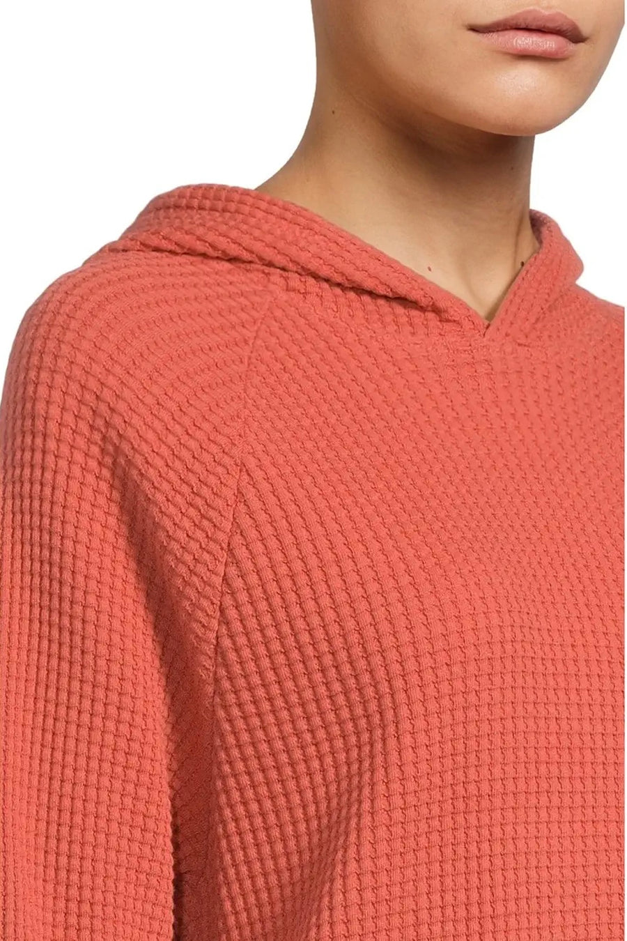TNF W's Chabot Hoodie
