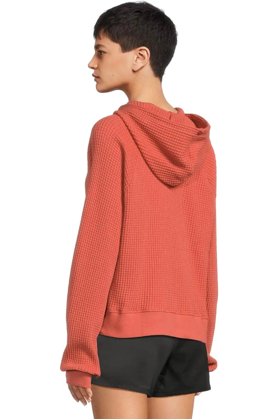 TNF W's Chabot Hoodie