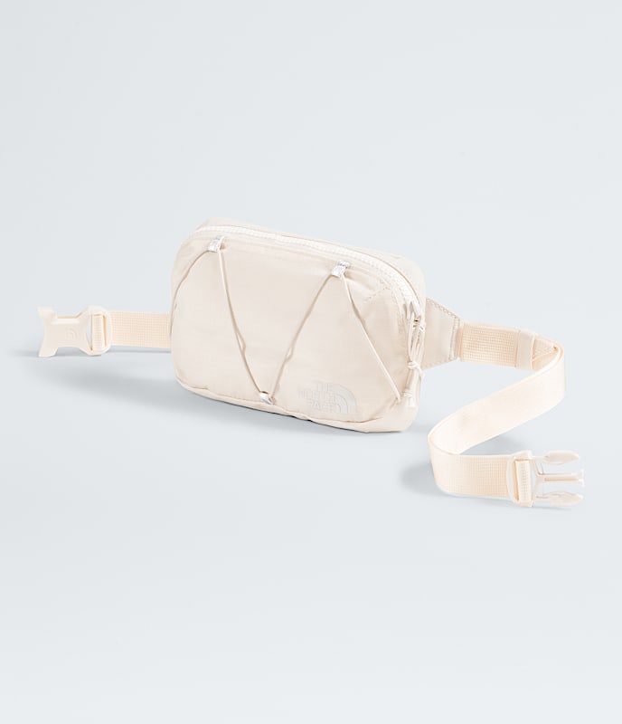 TNF Terra Lumbar 1L Waist Bag